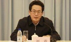 刘震最新爆料消息视频,揭秘事件背后惊人真相