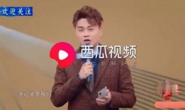 杨迪爆料薇娅了吗视频,揭秘直播带货背后的真相